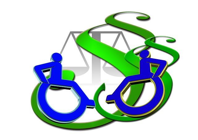 Disability Law
